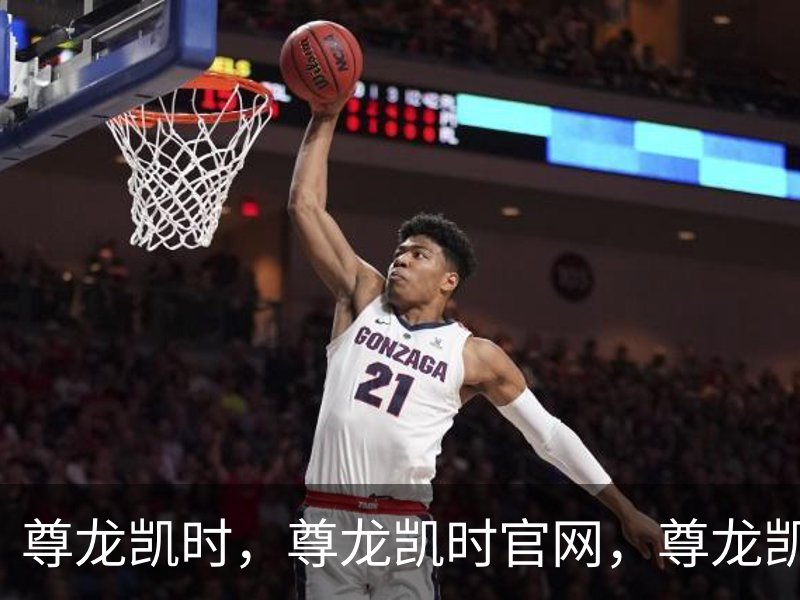 尊龙凯时，尊龙凯时官网，尊龙凯时app，尊龙凯时人生就是搏，zunlongkaishi概况